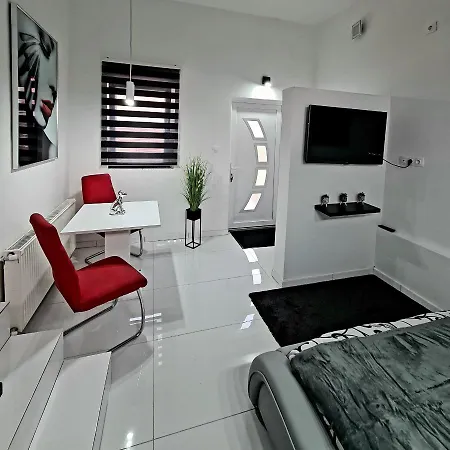 Guest house Airport Luxury 42 *