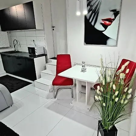 Guest house Airport Luxury 42 3*